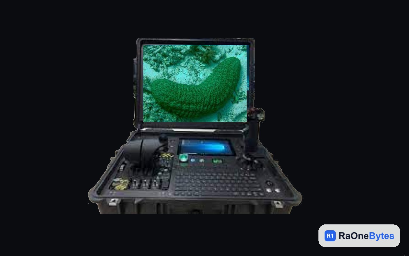 ROV surface control station